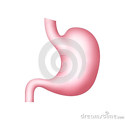 Stomach icon illustration gastric human health anatomy. Stomach organ care Vector Illustration