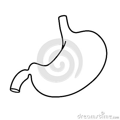 Stomach icon. Vector black outline sign illustration isolated on white Vector Illustration