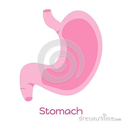 Stomach illustration in flat style. Viscera icon, internal organ Cartoon Illustration