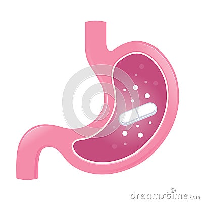 Stomach Intestine Is Being Treated With Medicine Pill Vector Illustration