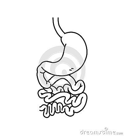 Stomach and intestines doodle, hand drawn vector illustration of human stomach internal organs Vector Illustration