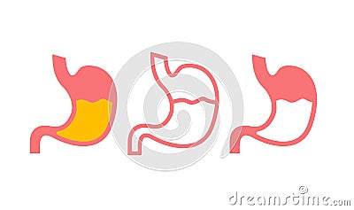 Stomach line icon medical outline symbol. Flat line stomach gastric icon Vector Illustration