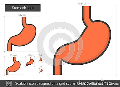 Stomach line icon. Vector Illustration