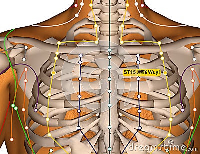 Acupuncture Point ST15 Wuyi, Stomach Meridian Stock Photo