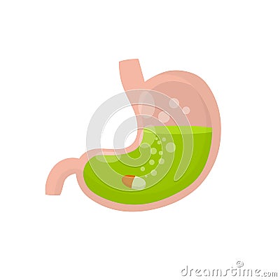 Stomach and pill. Dissolving drug. Disease of human internal organ Vector Illustration