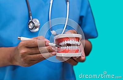 Stomatologist gives recommendations and shows the patient the procedure for dental treatment. Stock Photo