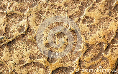 Brown stone background Stock Photo