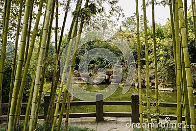 Stone balustrade fenced waterside in plants and trees Stock Photo