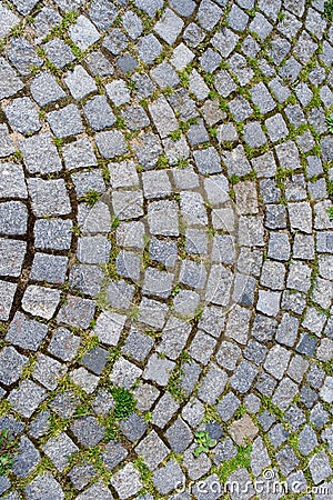 Stone block paving Stock Photo