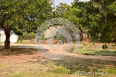 The Stone block walk path in the park/garden stock photograph image Stock Photo