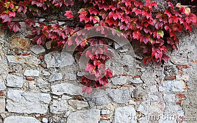 Stone blocks old wall, with leaves unpon it Stock Photo