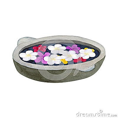 Stone bowl for ablution with flowers. Bowl for spa with frangipani or plumeria. Hand drawn watercolor illustration. Isolated on Cartoon Illustration