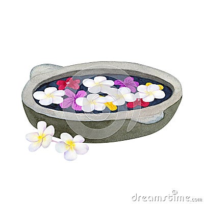 Stone bowl for ablution with flowers. Bowl for spa with frangipani or plumeria. Hand drawn watercolor illustration. Isolated on Cartoon Illustration