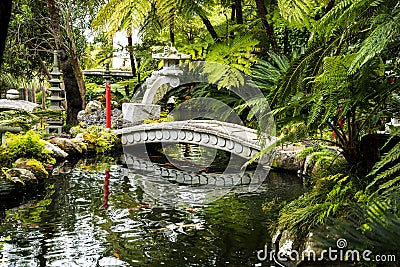 Stone Bridge in a Beautiful Garden at Monte above Funchal Madeira Editorial Stock Photo