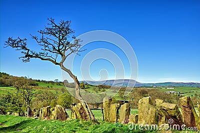 Stone built boundary fence near Pendle Hill Stock Photo