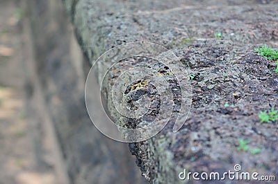 Stone castle in isan of thailand is the architecture culture old Stock Photo