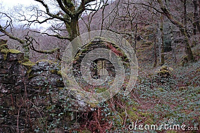 Stone Cottage Ruins Stock Photo