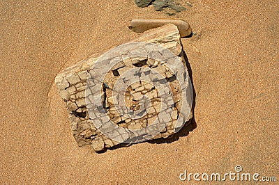 Stone with cracks lying on the sand.Sea coast. Stock Photo