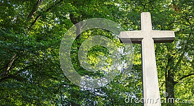 Stone cross against beautiful forest Stock Photo