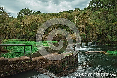 Stone dam in a river running through lush forest Stock Photo