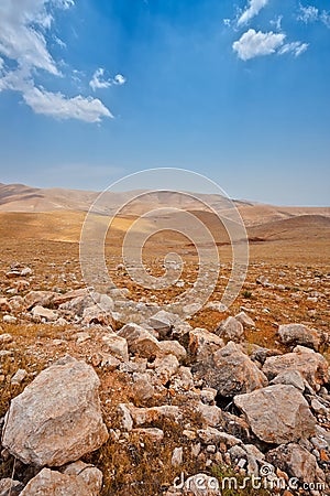 Stone Desert Stock Photo