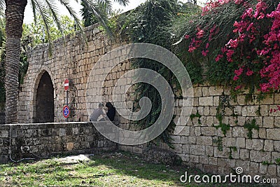 Stone door leading a way in the fortified wall of Byblos, Jbeil dating from the Middle Ages, Lebanon Editorial Stock Photo