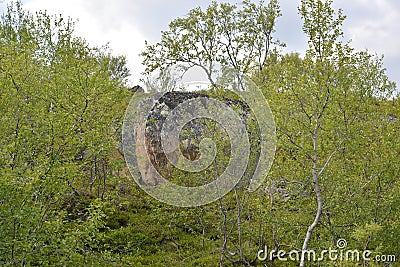 Stone exposures in the forest-tundra. Murmansk region Stock Photo