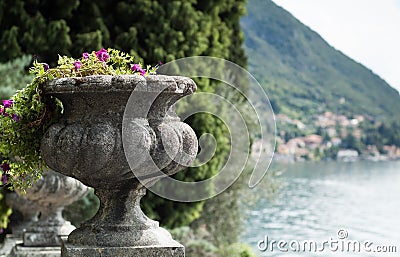 Stone Flower Vase Stock Photo