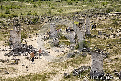 The Stone Forest - Pobiti Kamani and Dikilitash, Bulgaria Editorial Stock Photo
