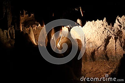 The stone formation in Postojna Caves ,Slovenian- Postojnska jama. Stock Photo