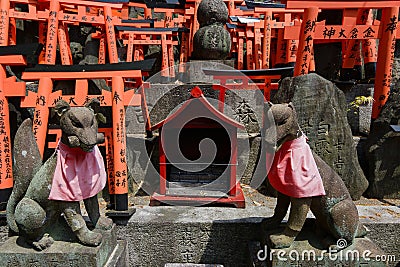 Stone fox statues and many small torii. Stock Photo