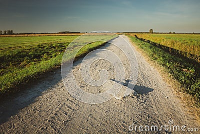 Stone in a gravel road, horizon and sky Stock Photo