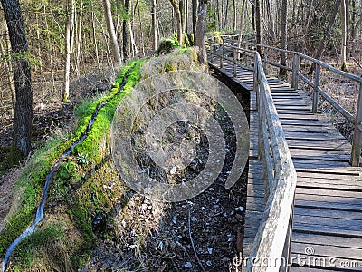 Boardwalk alongside natural stone water channel in forest Stock Photo