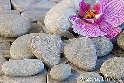 Stone heart and orchid Stock Photo