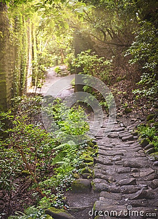 Hiking path between carved walls covered with moss in the stone quarry of Mount Nokogiri. Stock Photo