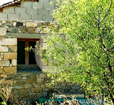 Stone House And Half Part Of A Tree Stock Photo