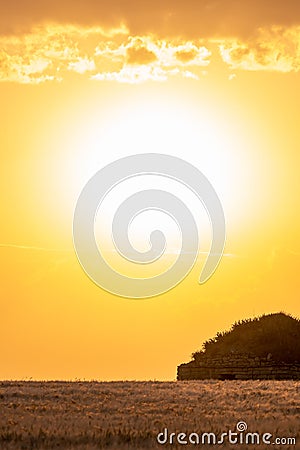 Stone hut in a golden cereal field with the sun behind it on a summer evening Stock Photo
