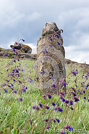 Stone idol in the steppe Stock Photo