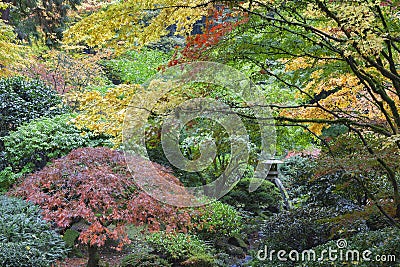 Stone Lantern Among Japanese Maple Trees in Autumn Season Stock Photo