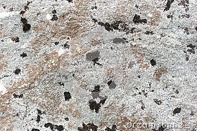 A stone in lichen on the mountains. Rock in the moss. Stock Photo