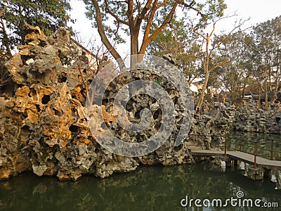 The stone of the lion forest Stock Photo