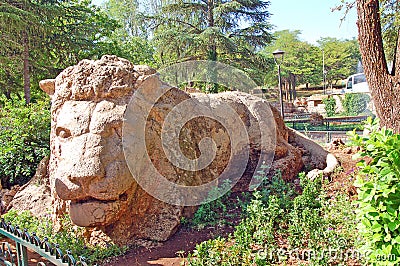 Stone lion, Ifrane, Morocco Stock Photo