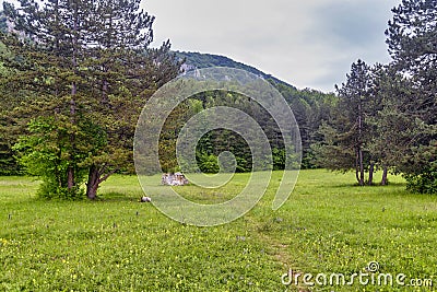 Stone of love at Ozren mountain is a large and single boulder in the middle of the vast meadow Stock Photo