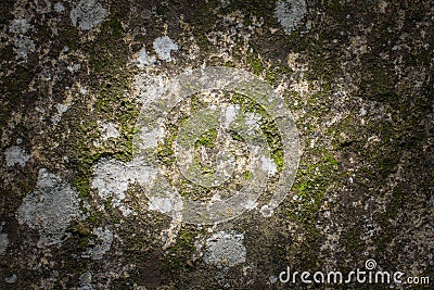 Stone and moss texture Stock Photo