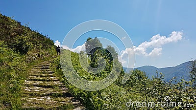 Stone mule trail at Cima Sasso in Val Grande, national park in Piedmont, Italy. Stock Photo