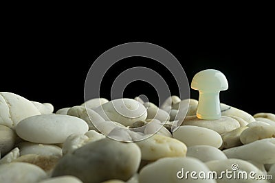 Stone mushrooms made from mixed gemstones and crystalize rock showing unique patterns and colours used in natural healing Stock Photo