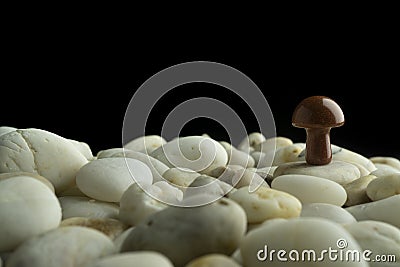 Stone mushrooms made from mixed gemstones and crystalize rock showing unique patterns and colours used in natural healing Stock Photo