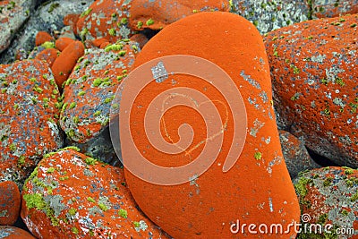 Stone with a note Stock Photo