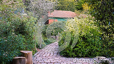 Stone path in a colorful garden Stock Photo