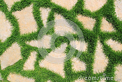 Stone path in green grass garden texture Stock Photo